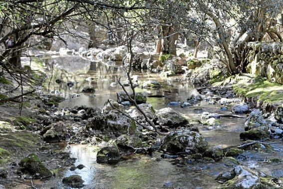 Die Quelle Es Salt des Freu bei Orient:  Es ist, als wenn das Wasser alles aufsaugt und mit sich reißt. Man möchte ihm folgen und verweilt doch immer wieder, um Fels, Steine, Verästelungen zu betracht