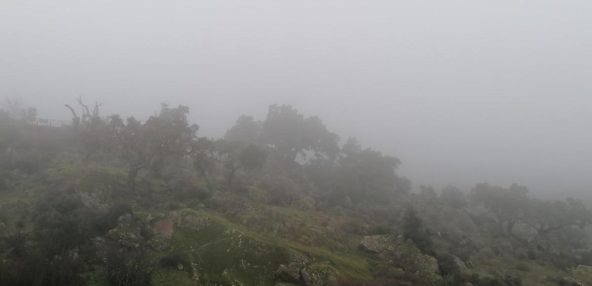 Fotogalería | Mañana de niebla en el norte de Cáceres