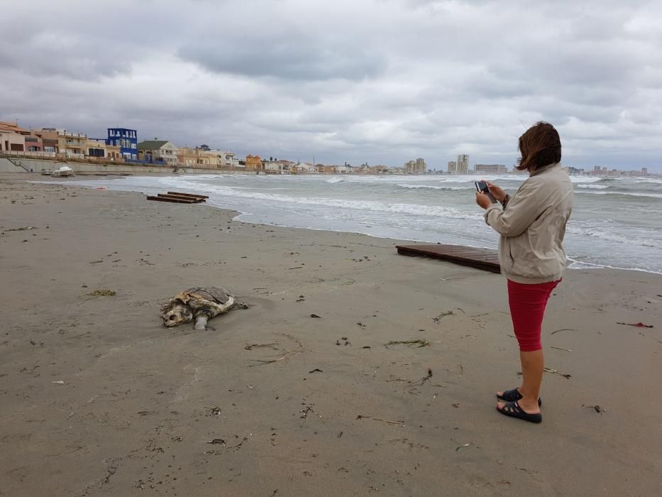 Efectos del temporal en las playas de la Región