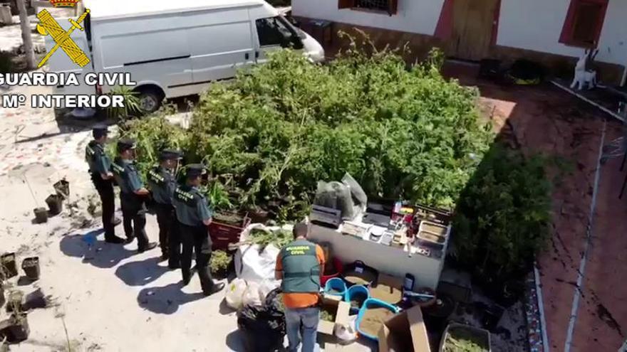 Agentes de la Guardia Civil, en el patio del cuartel con algunas de las plantas intervenidas.