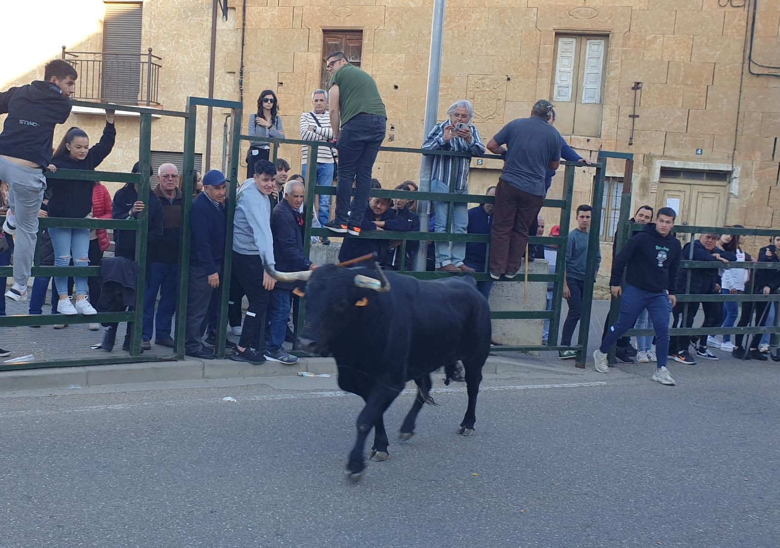 Encierro en la Bóveda de Toro