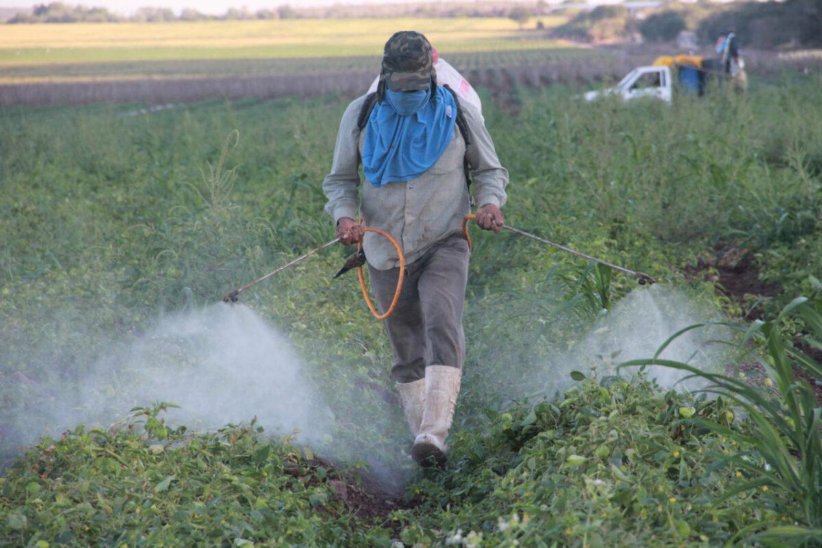 Murcia y Canarias, entre los lugares de la UE más contaminados por nitratos