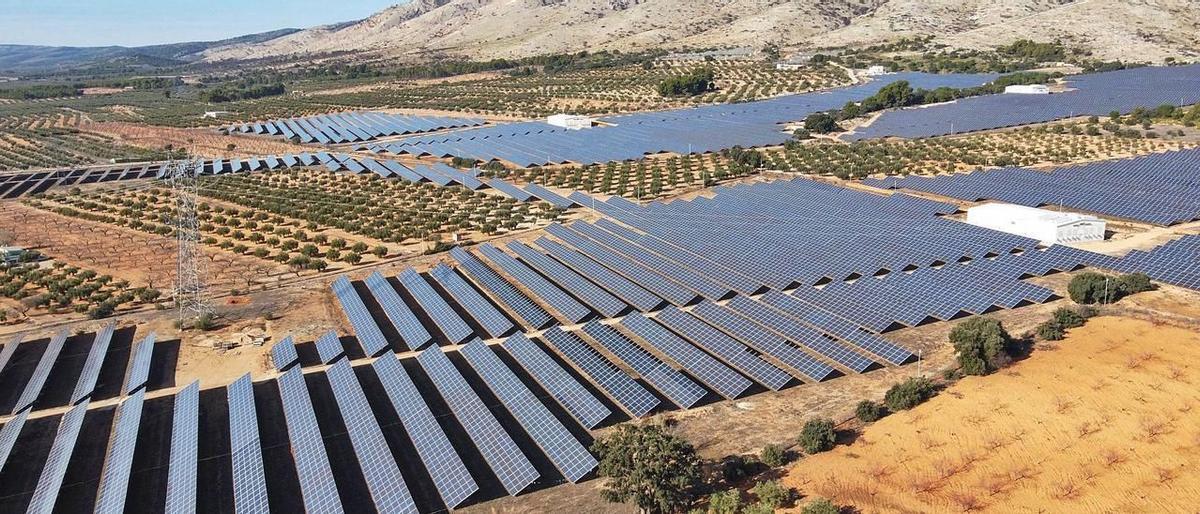 Imagen aérea de una planta fotovoltaica del Alto Vinalopó instalada en una finca arrendada por un agricultor de Beneixama.