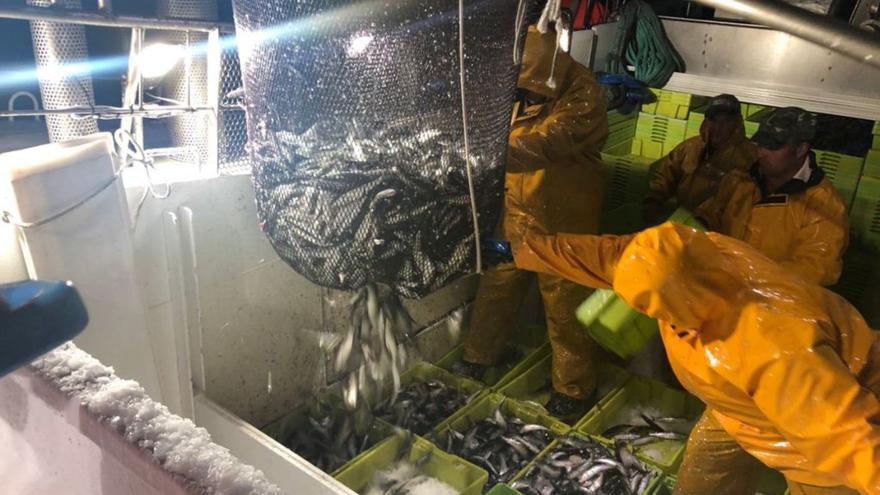 Marineros descargando las capturas de sardina en una embarcación. |   // J. M. S.