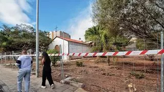 El colectivo Los Árboles Hablan solicita medidas cautelares para detener la tala de árboles en La Salud