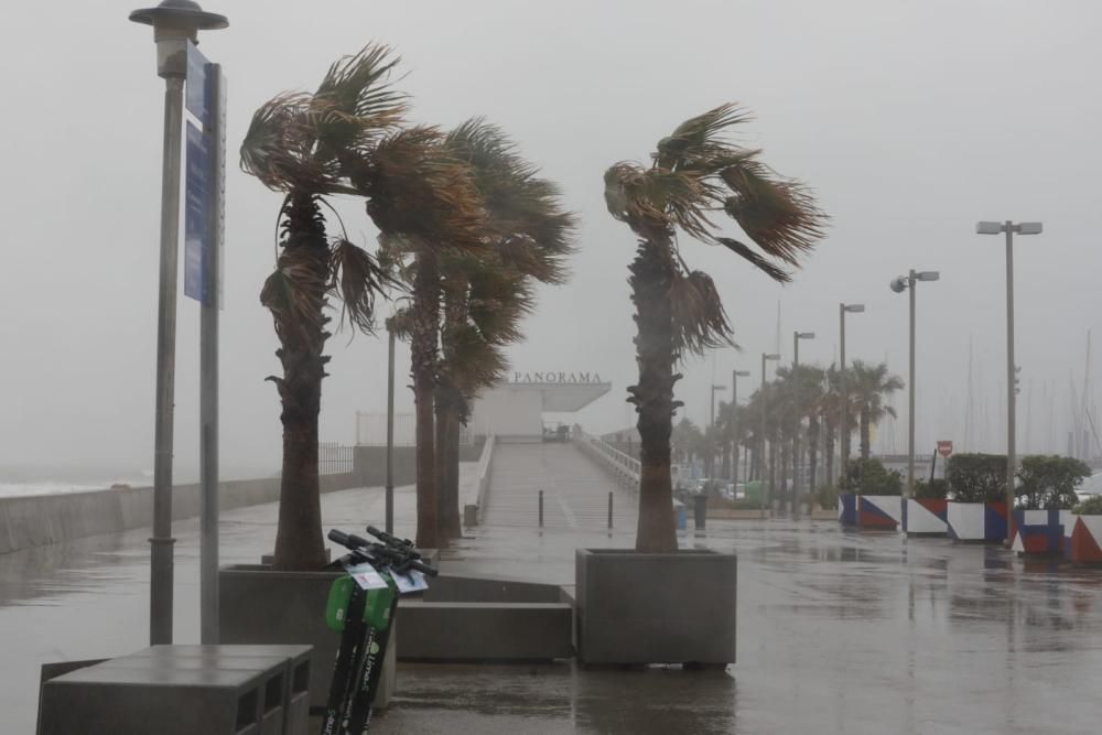 Playa de las Arenas y Marina de València