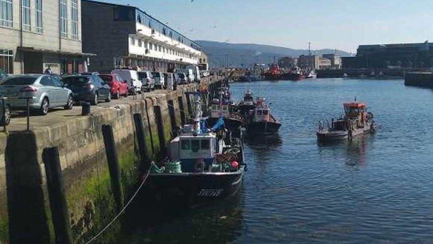 Cerqueros que se mantienen en el puerto de Vigo estas fechas. // A.A.