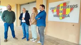MÉS y Unió de Pagesos piden al Consell de Mallorca que compre alimentos de producto local