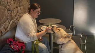 Los diez Soletes extremeños donde las mascotas son bienvenidas