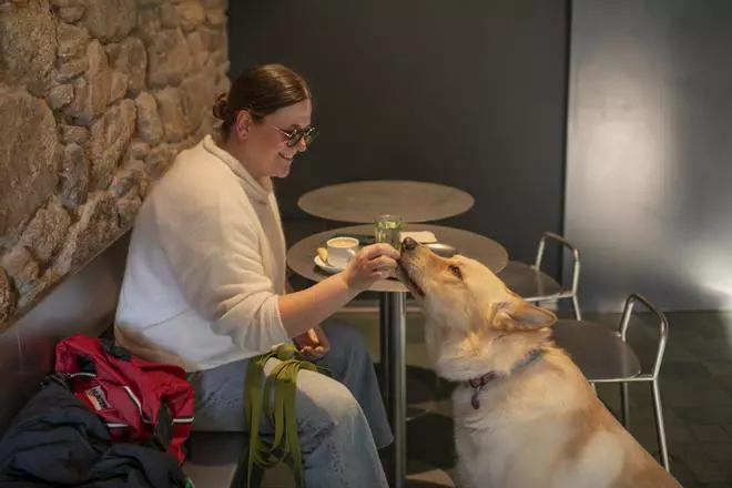 La Guía Repsol presenta los nuevos Soletes 'pet friendly'