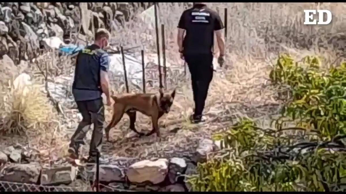 Continúa la búsqueda en la finca de Tomás Gimeno, padre de Anna y Olivia, desaparecido junto a sus hijas