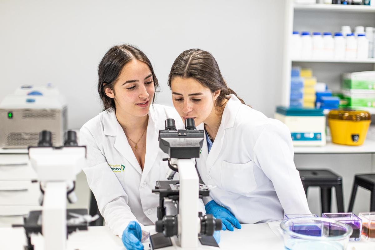 El Centro Docente Privado Salvador de Córdoba ofrece ciclos formativos de la rama sanitaria.