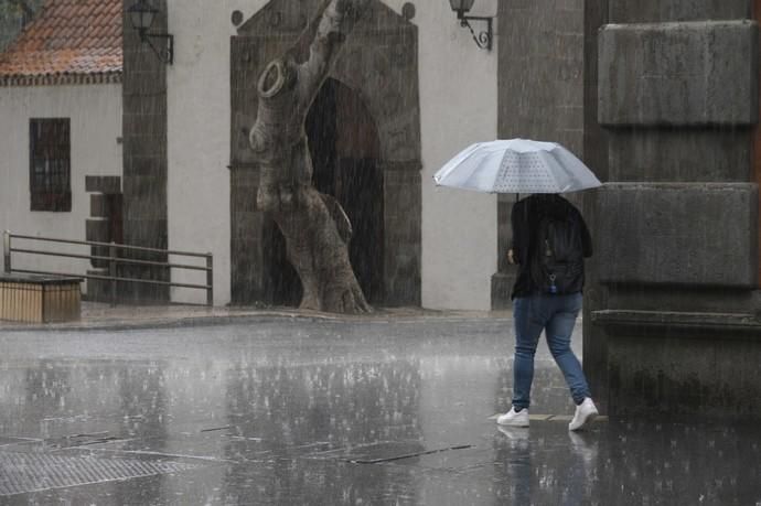 Fotos de lluvia  | 03/04/2019 | Fotógrafo: Tony Hernández