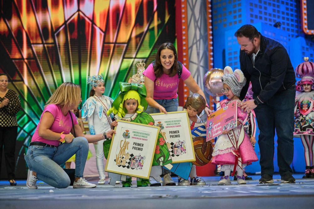 Fotos de los ganadores y de todos los participantes en el Concurso de Disfraces del Carnaval de Santa Cruz de Tenerife.  | 16/02/2020 | Fotógrafo: Andrés Gutiérrez Taberne