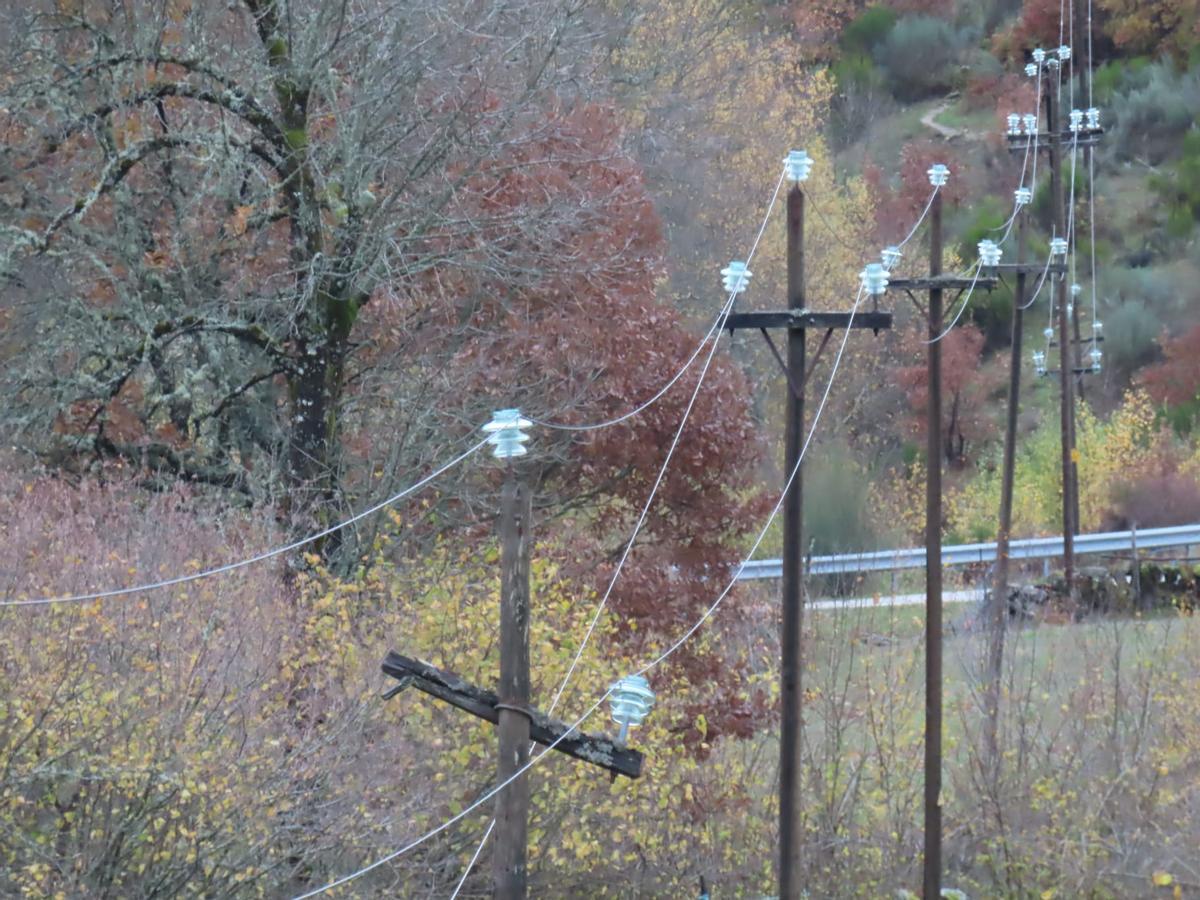 Caída de postes en Barjacoba, pedanía del municipio de Pías.