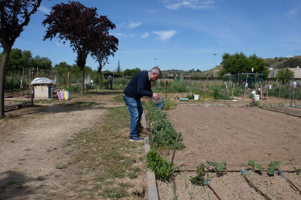 GALERÍA | Huertos municipales en Zamora: Creando comunidad entre tomates y cebollas