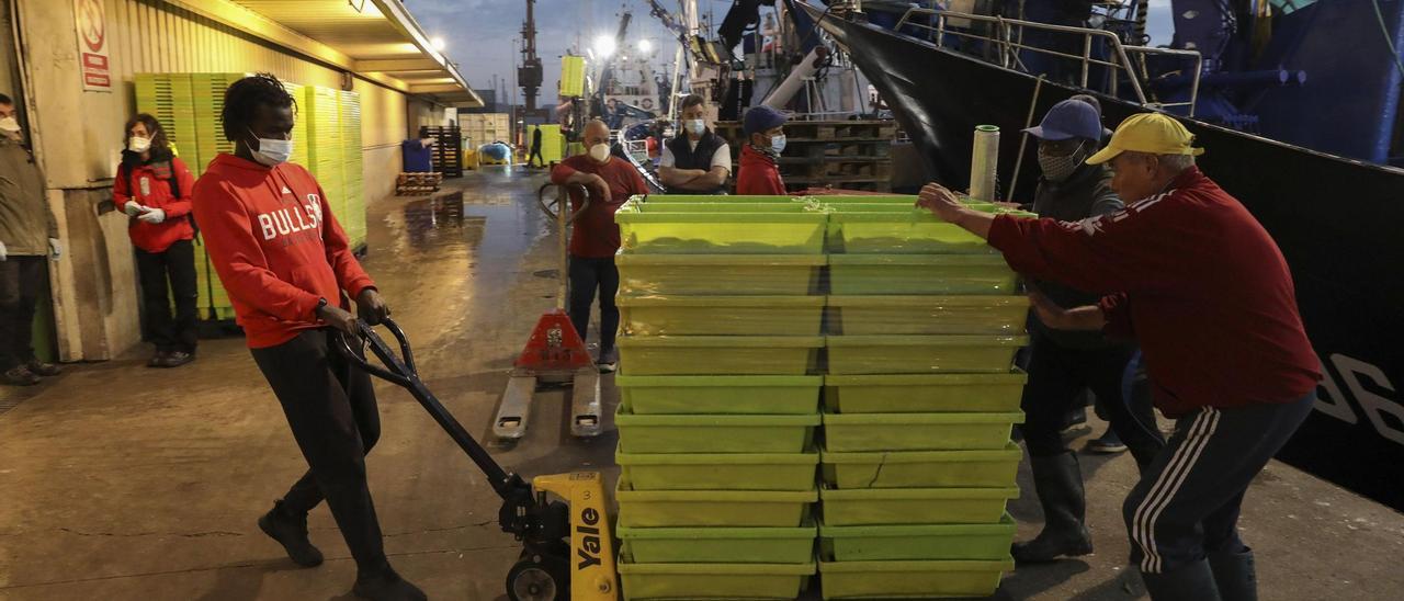 Descarga de pescado en Avilés.