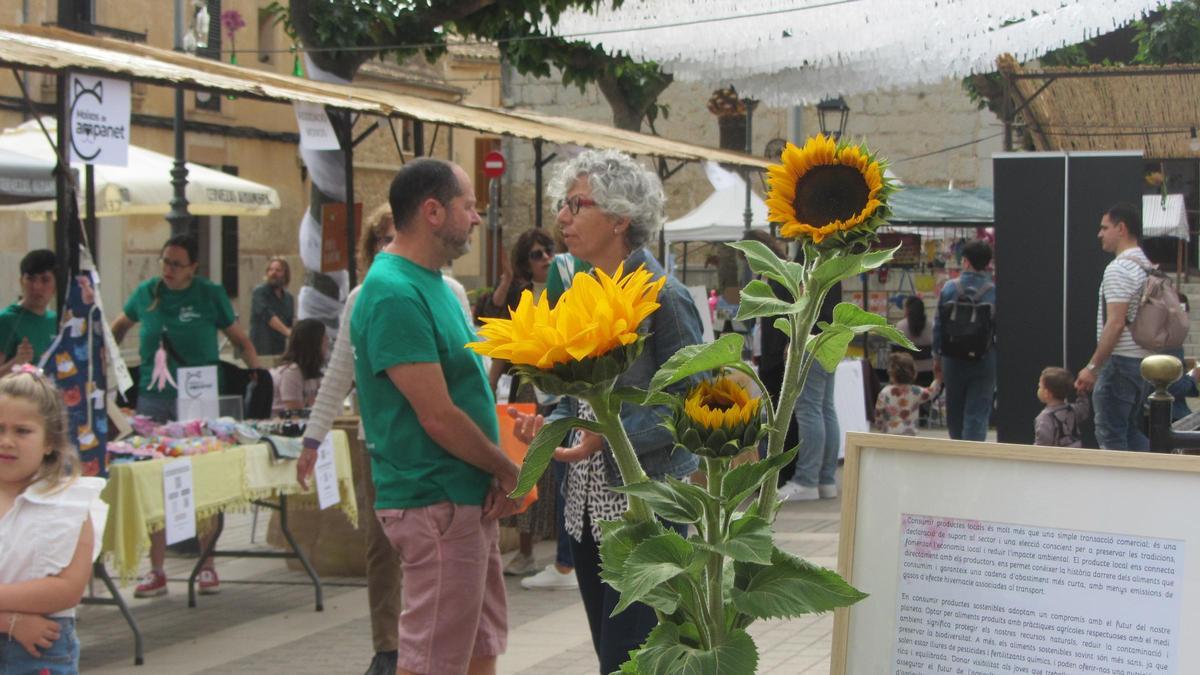 FOTOS | Las ferias de este domingo en distintos pueblos de Mallorca, en imágenes