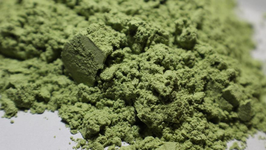 Chlorella, el alga que depura el organismo y te ayuda a adelgazar