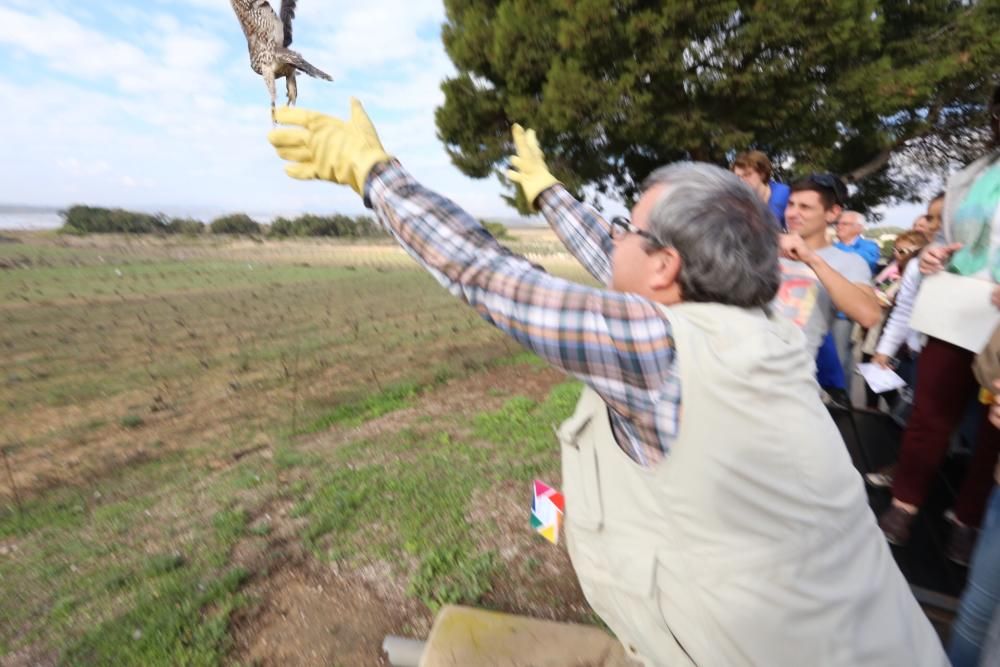 Aniversario parque natural Torrevieja