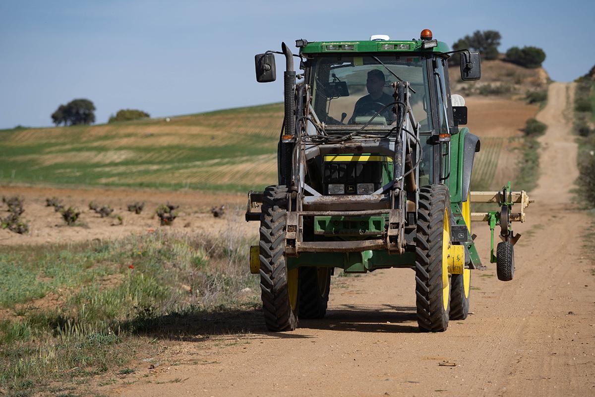 Un agricultor en su tractor en la provincia de Zamora.