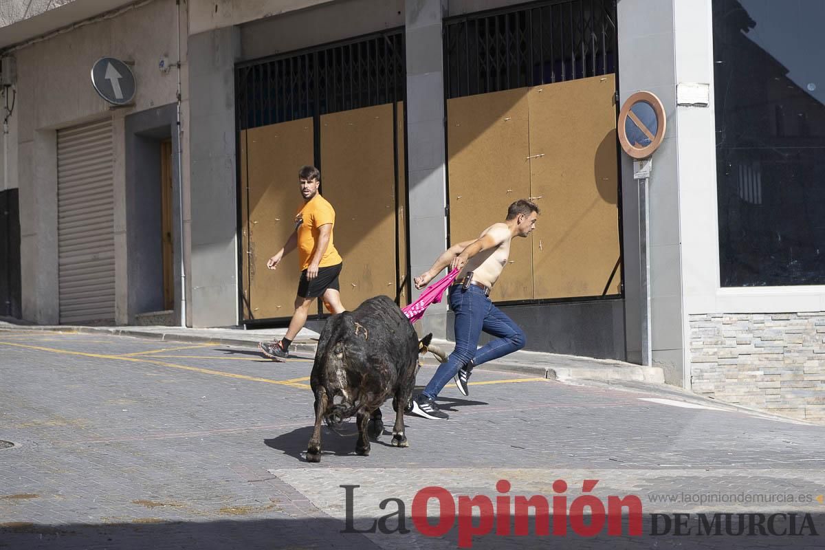 Cuarto encierro en las Fiestas de Moratalla