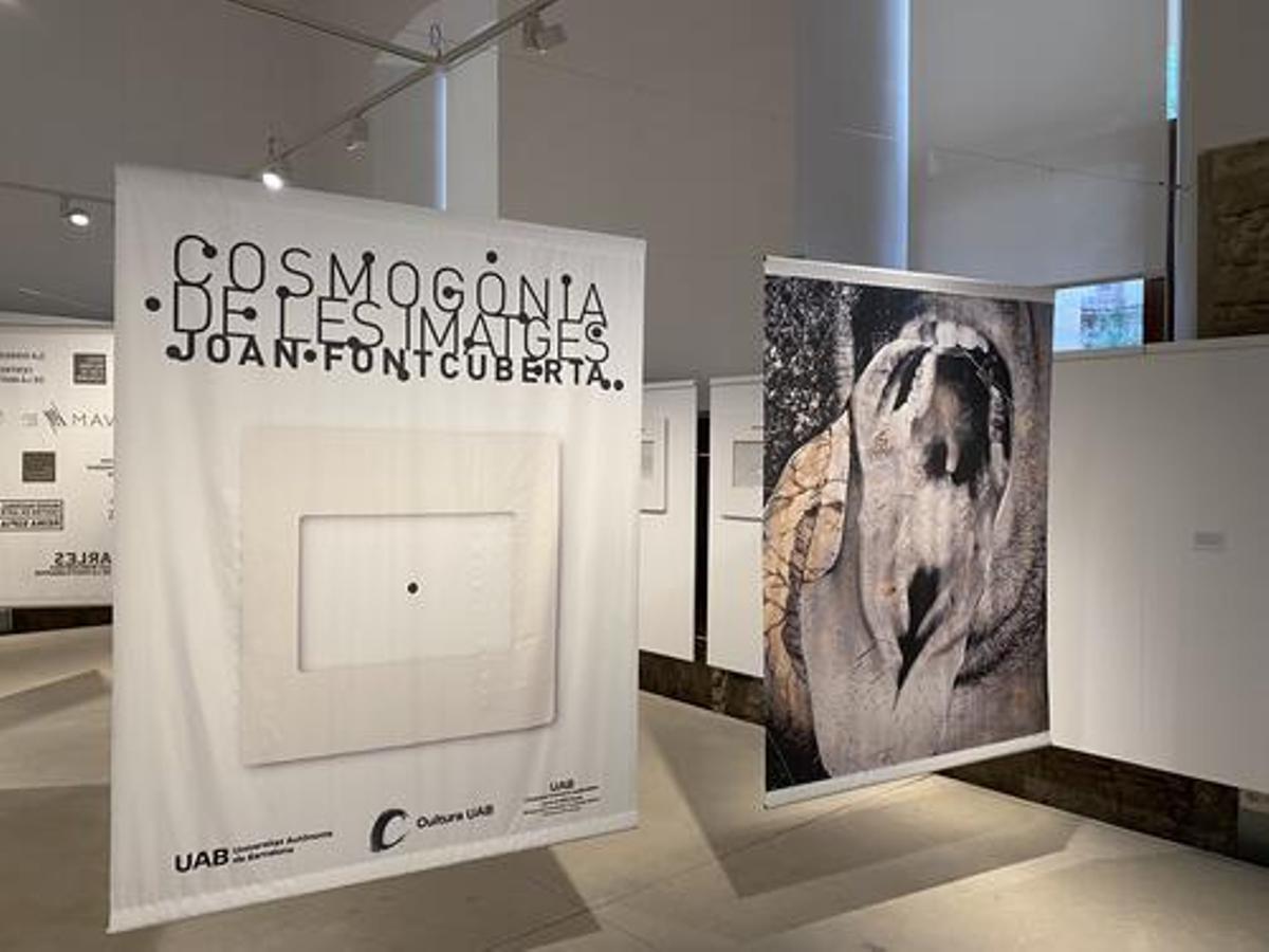 L'exposició s'inaugura aquest dimecres amb la presència de l'artista
