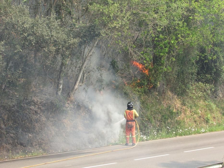 Incendio en la zona de Llanes