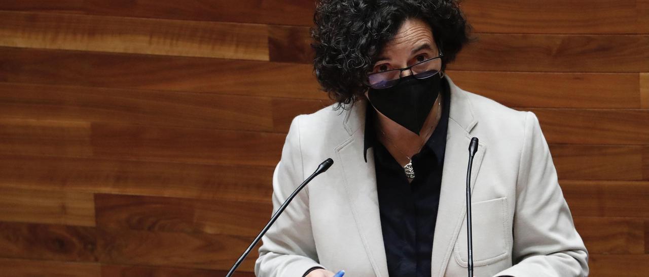 La consejera de Cultura, Berta Piñán, en la Junta General del Principado