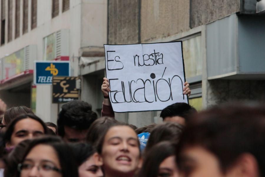 Manifestación contra la LOMCE en Zamora