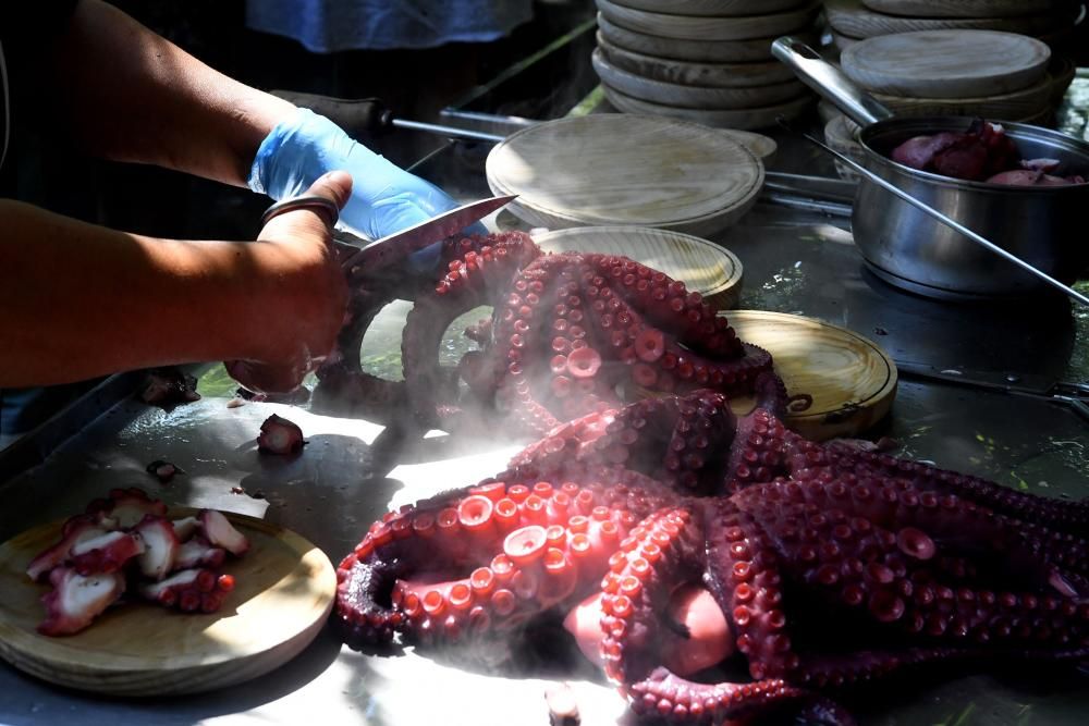 Así se hace el pulpo en Romería de Santa Margarita