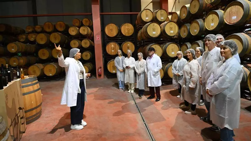 El enoturismo en auge en Alicante: así son las visitas guiadas en Bodegas Bocopa en Petrer