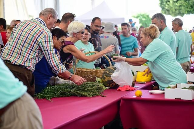 II Feria del Aguacate en Arguineguín