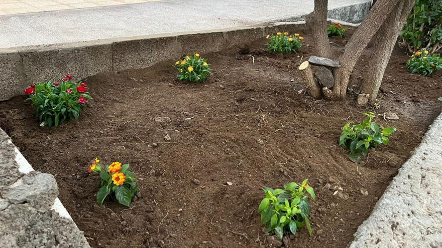 La Concejalía de Parques y Jardines mejora las zonas ajardinadas del Cementerio de Tasarte