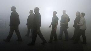 TRÀILER: En la niebla