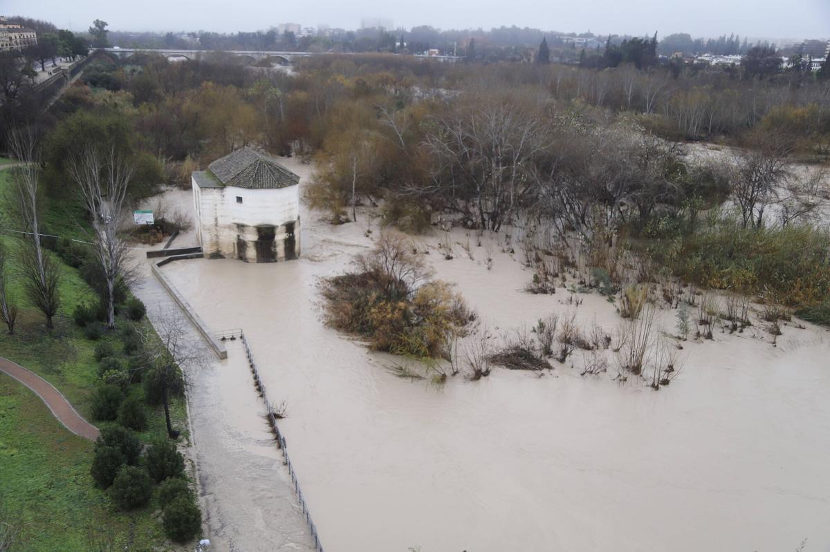 Estado del Molino de Martos, este viernes.