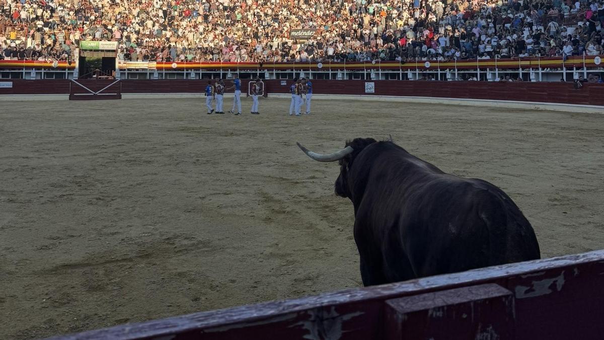 Participantes en el concurso nacional de cortes celebrado en Medina del Campo.