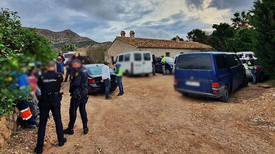 Un momento de la operación que se llevó a cabo en la finca de Torre Pacheco.