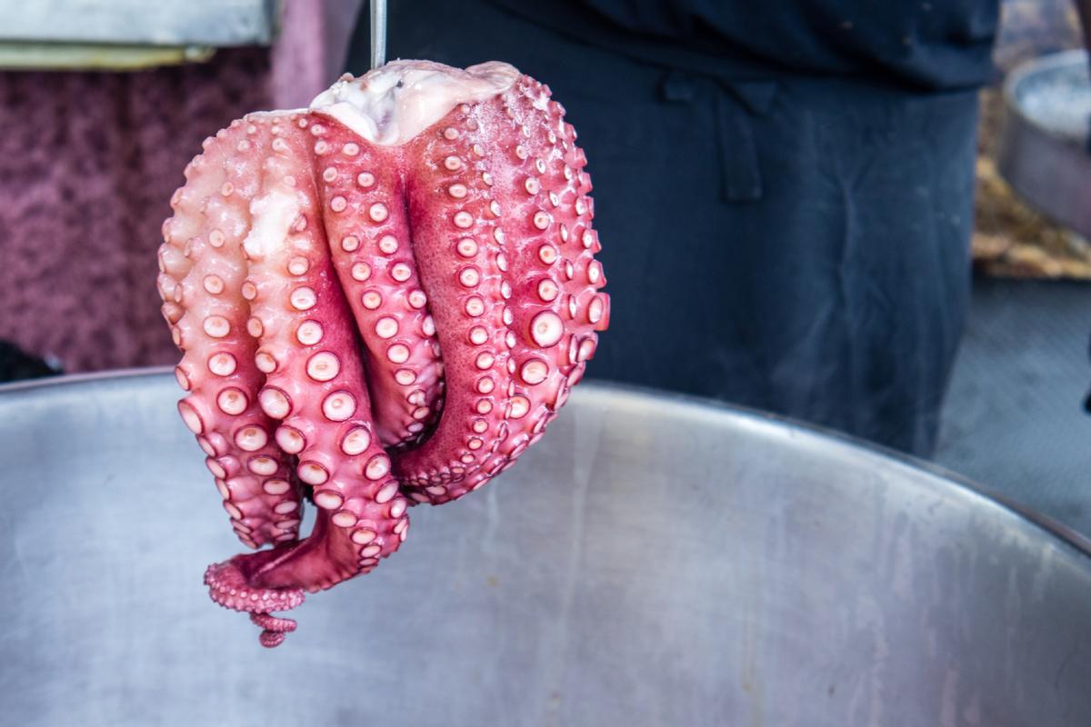 El pulpo es el plato estrella de la gastronomía de Melide.