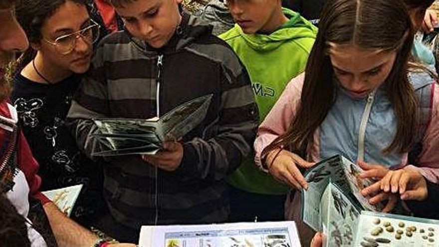 Imatge d&#039;una activitat del servei educatiu del Parc de la Sèquia