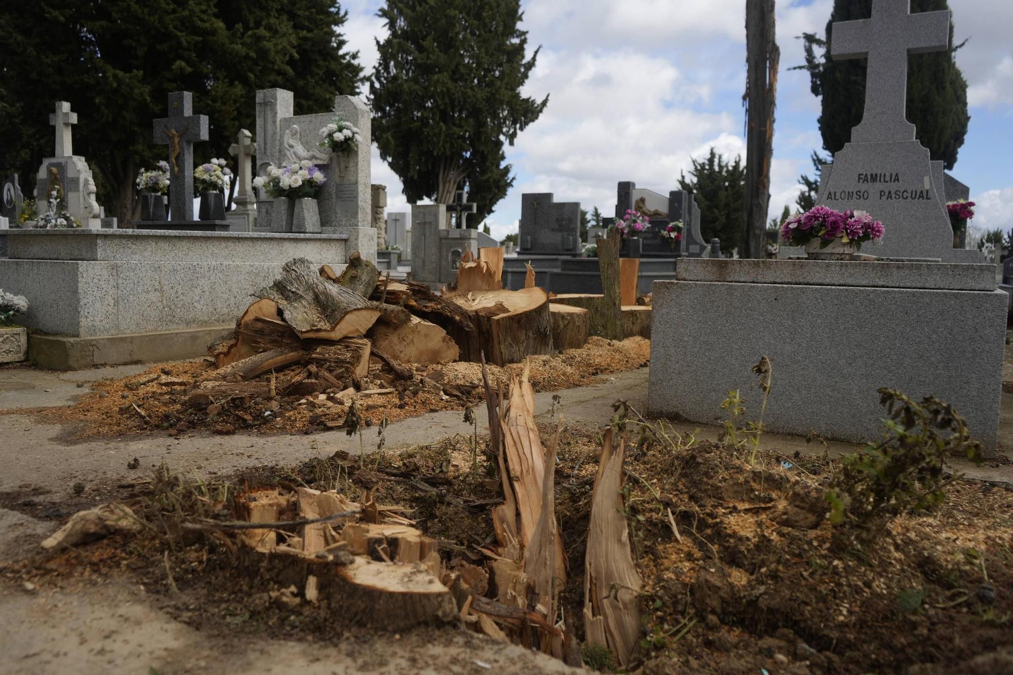Los importantes daños del temporal en el Cementerio de Zamora