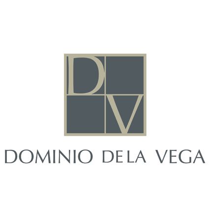 logo dominio de la vega