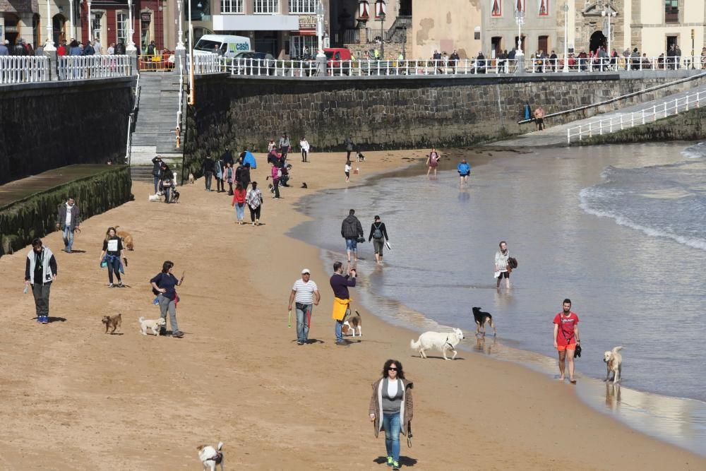 El temporal da una tregua