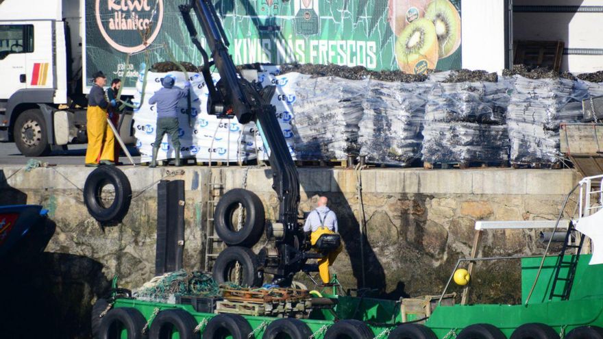 La toxina cierra y abre polígonos de Bueu y Poio en cuatro días