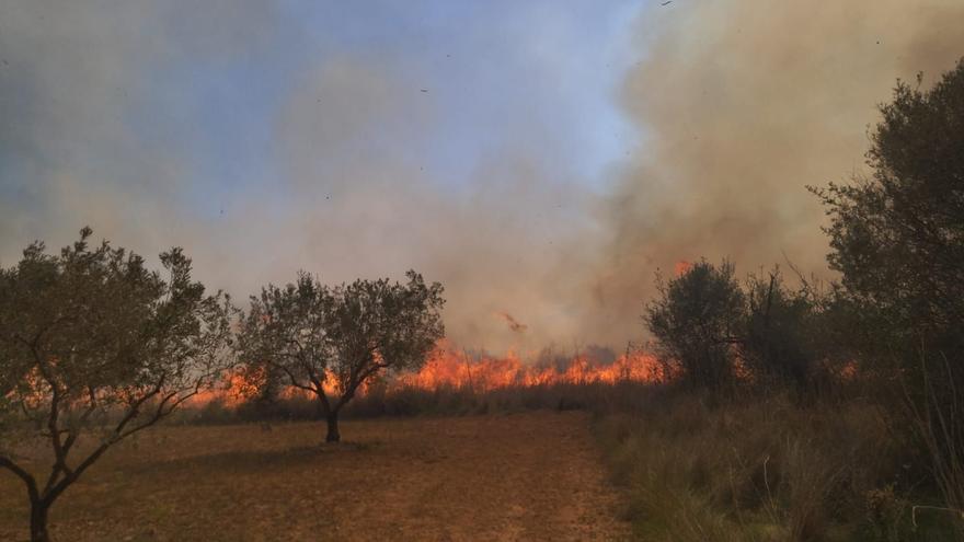 Incendio en el Montgó