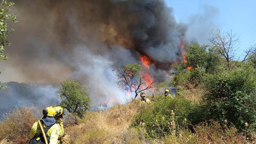 Vídeo | El incendio en Doñana supera las 250 hectáreas y sigue activo