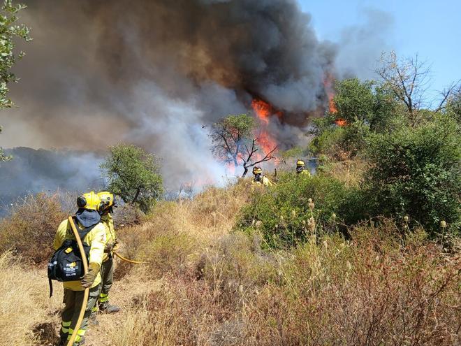Un incendio de Almonte (Huelva) afecta a 250 hectáreas y moviliza a más de 120 efectivos