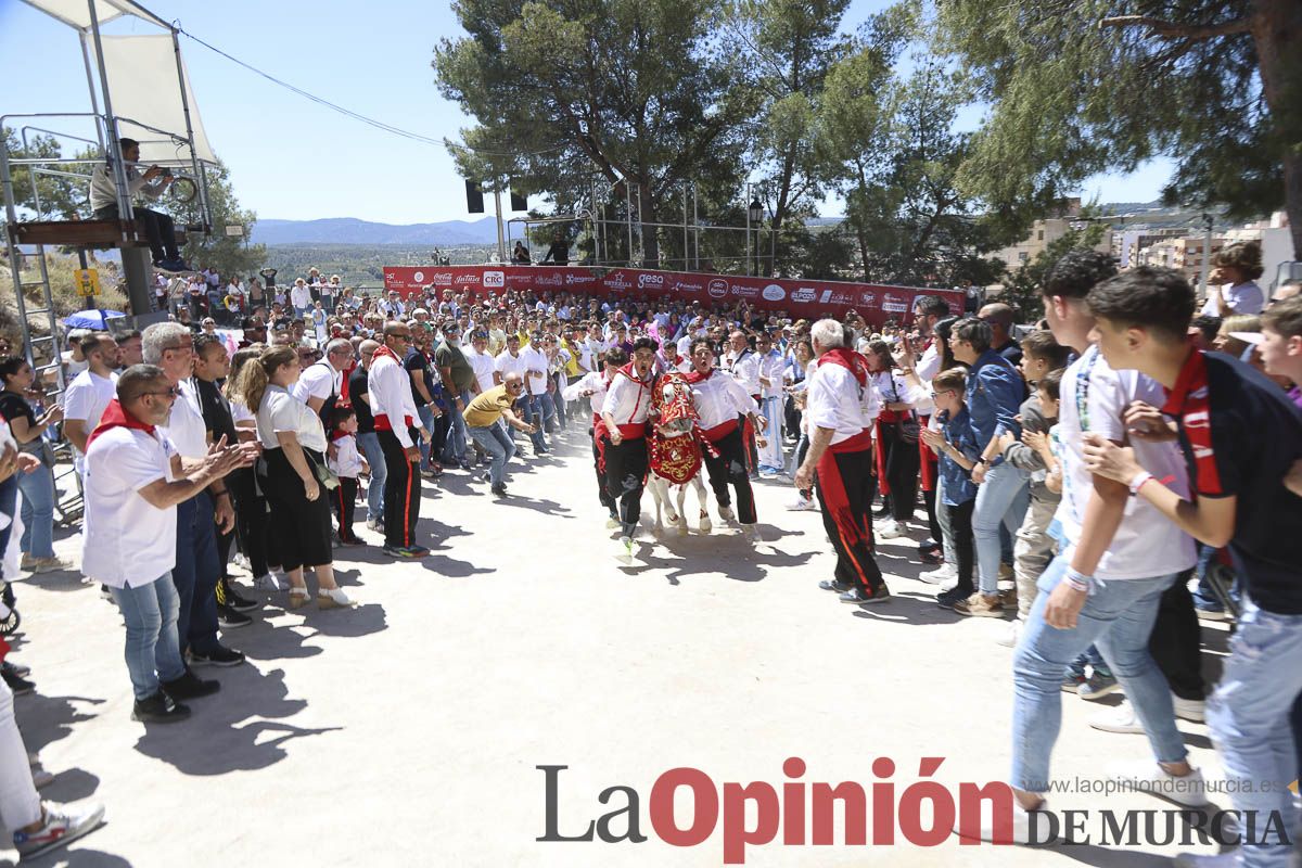 Fiestas de Caravaca: desfile infantil de los Caballos del Vino