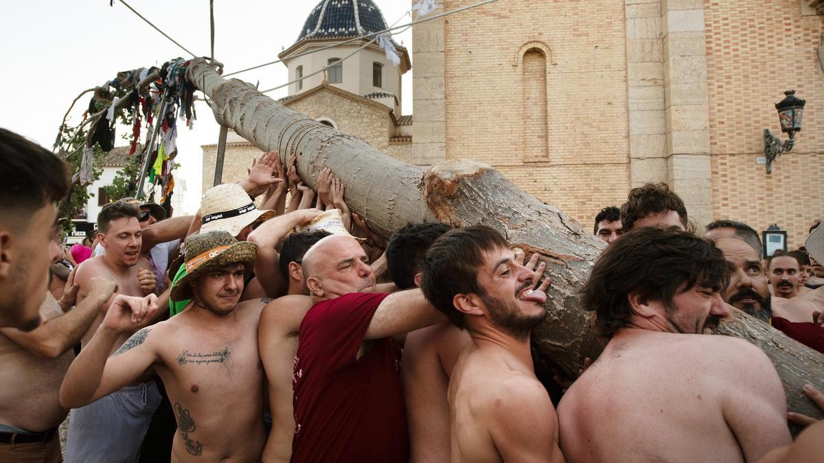 Introduccion del Arbret de Sant Joan en la tierra.