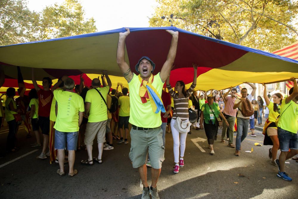 La manifestación de la Diada, en fotos